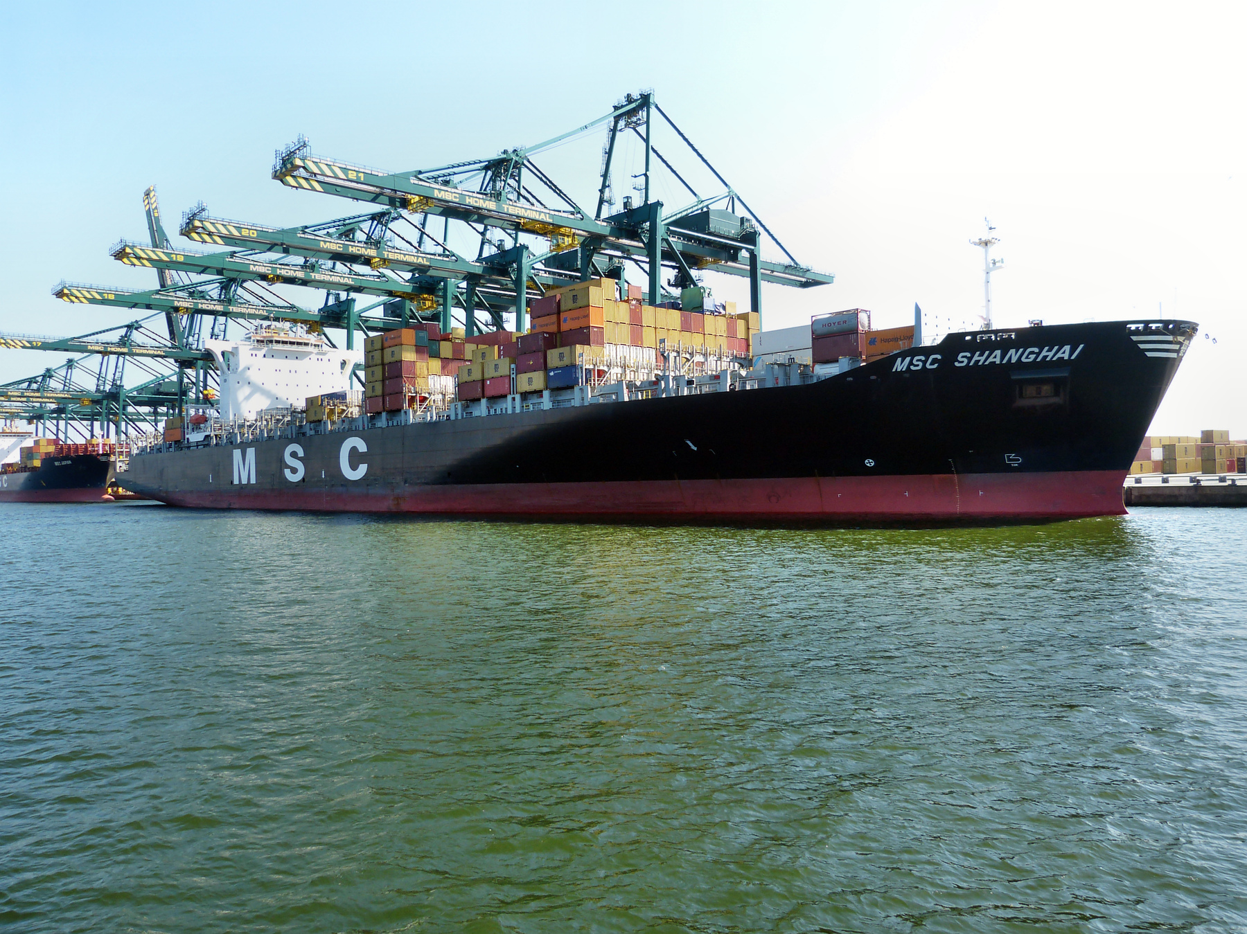 MSC SHANGHAI