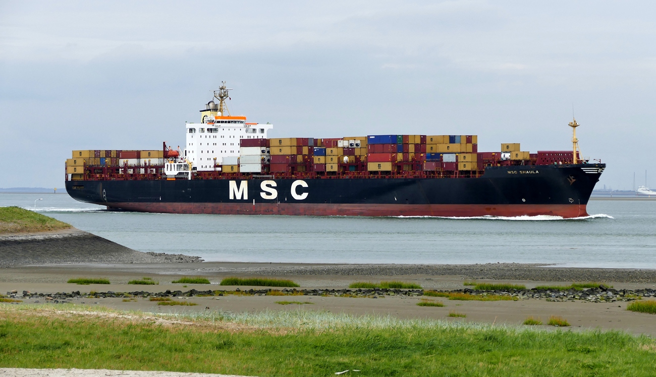 MSC SHAULA