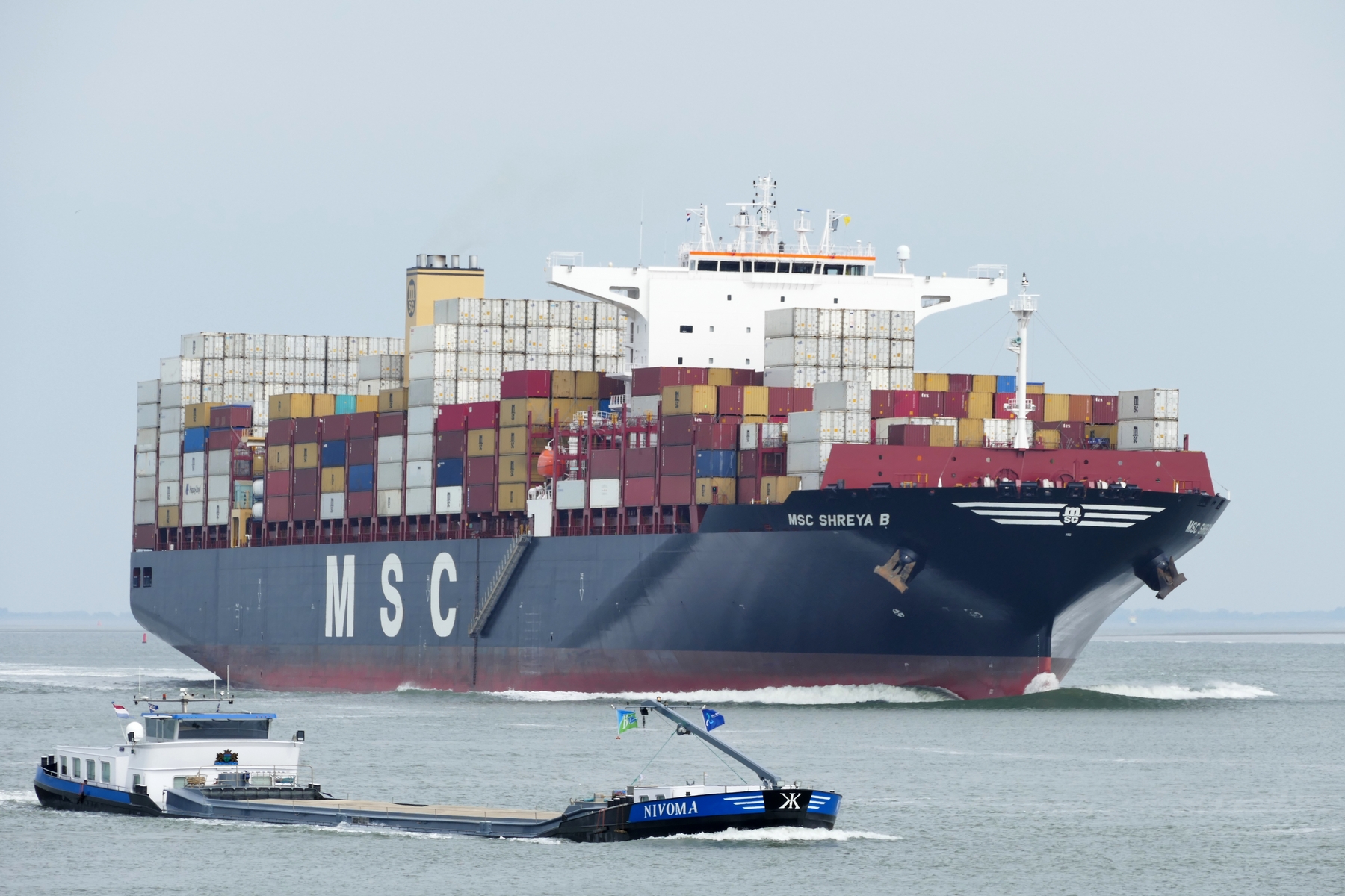 MSC SHREYA B