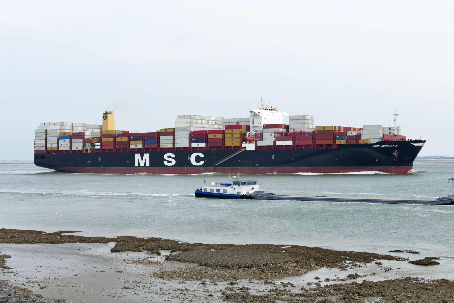 MSC SHREYA B