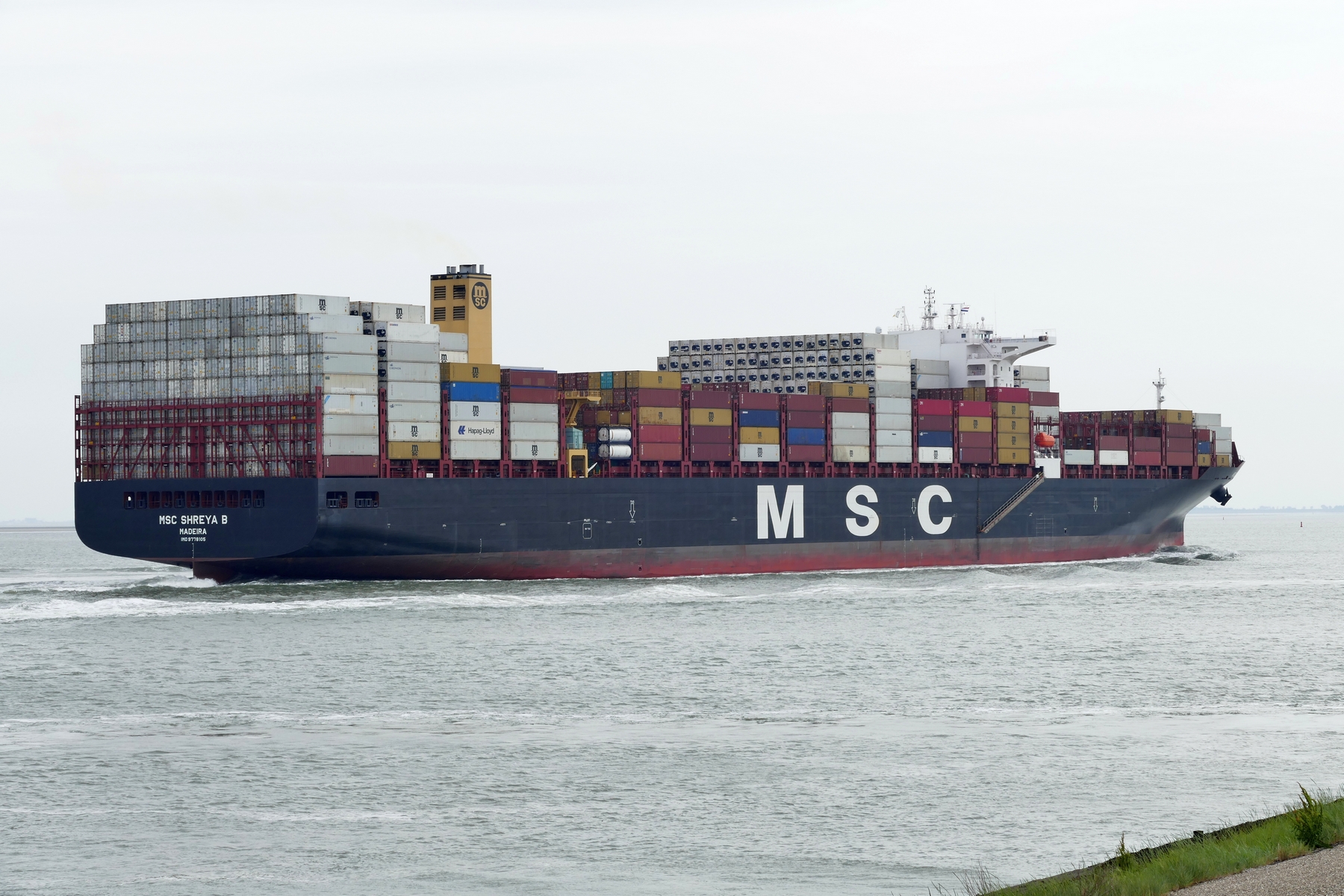MSC SHREYA B