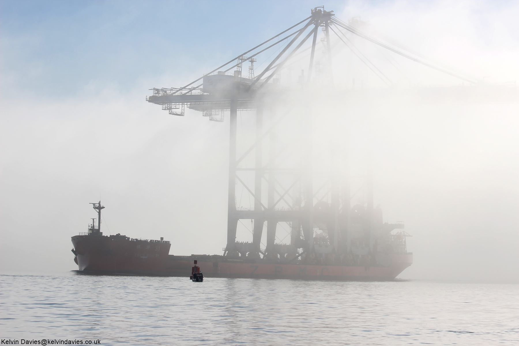 Zhen Hua 31