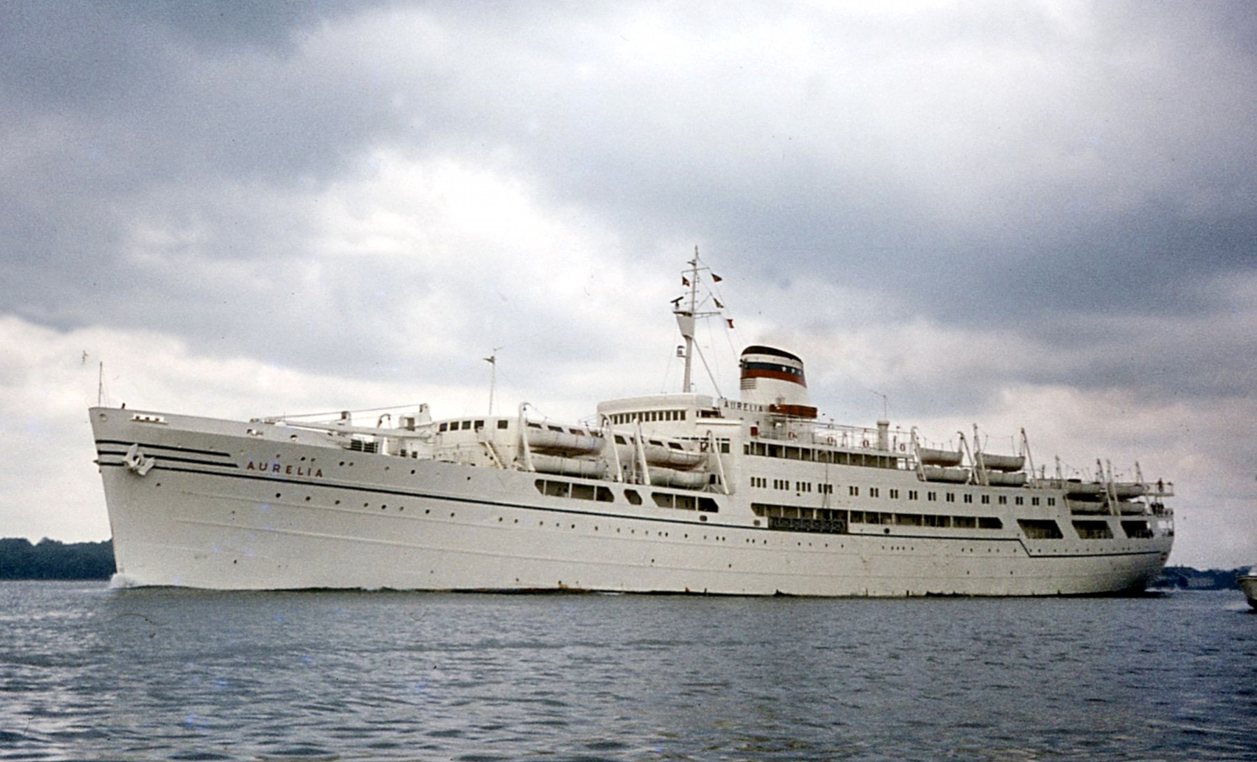 AURELIA