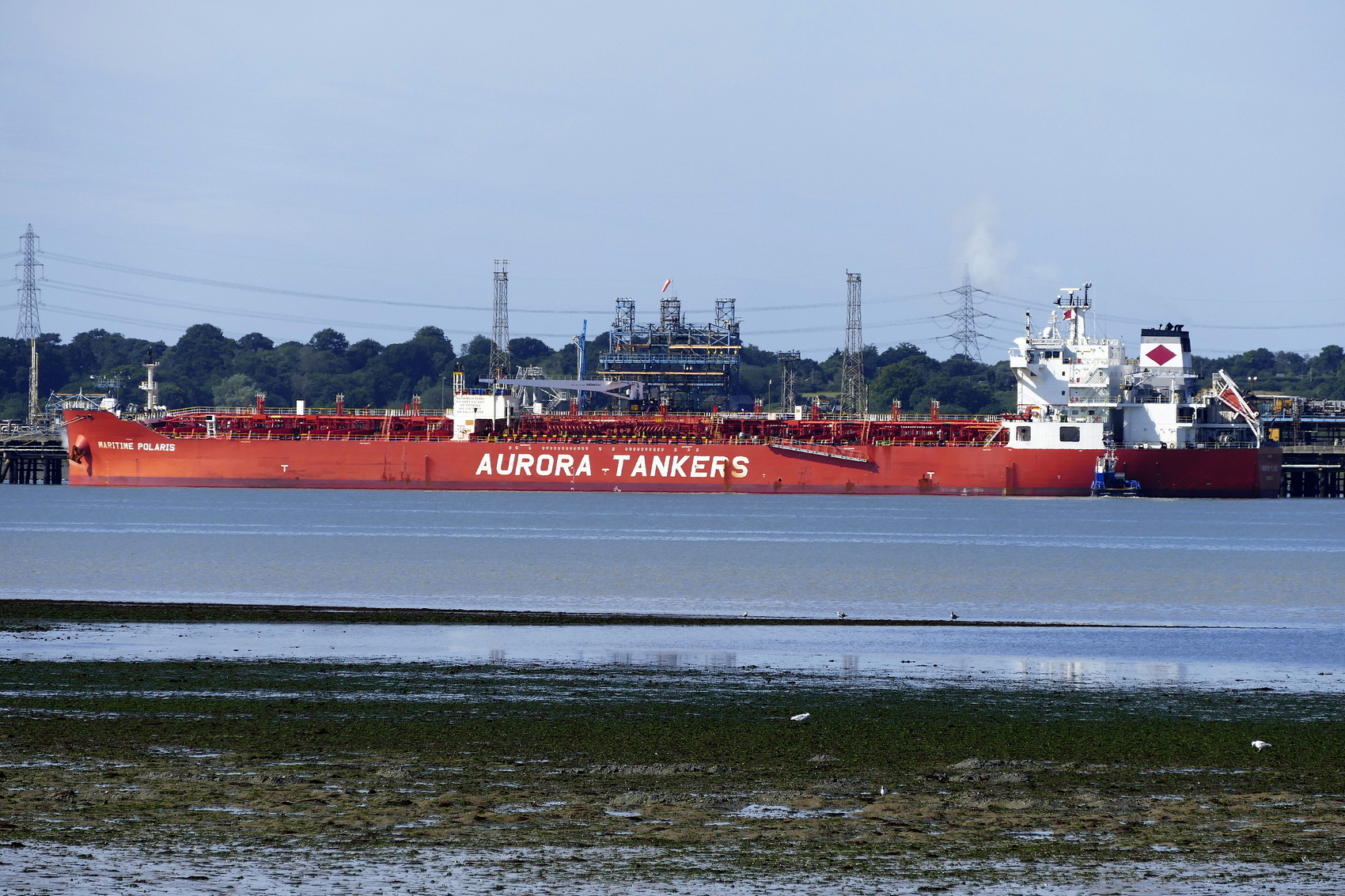 MARITIME POLARIS