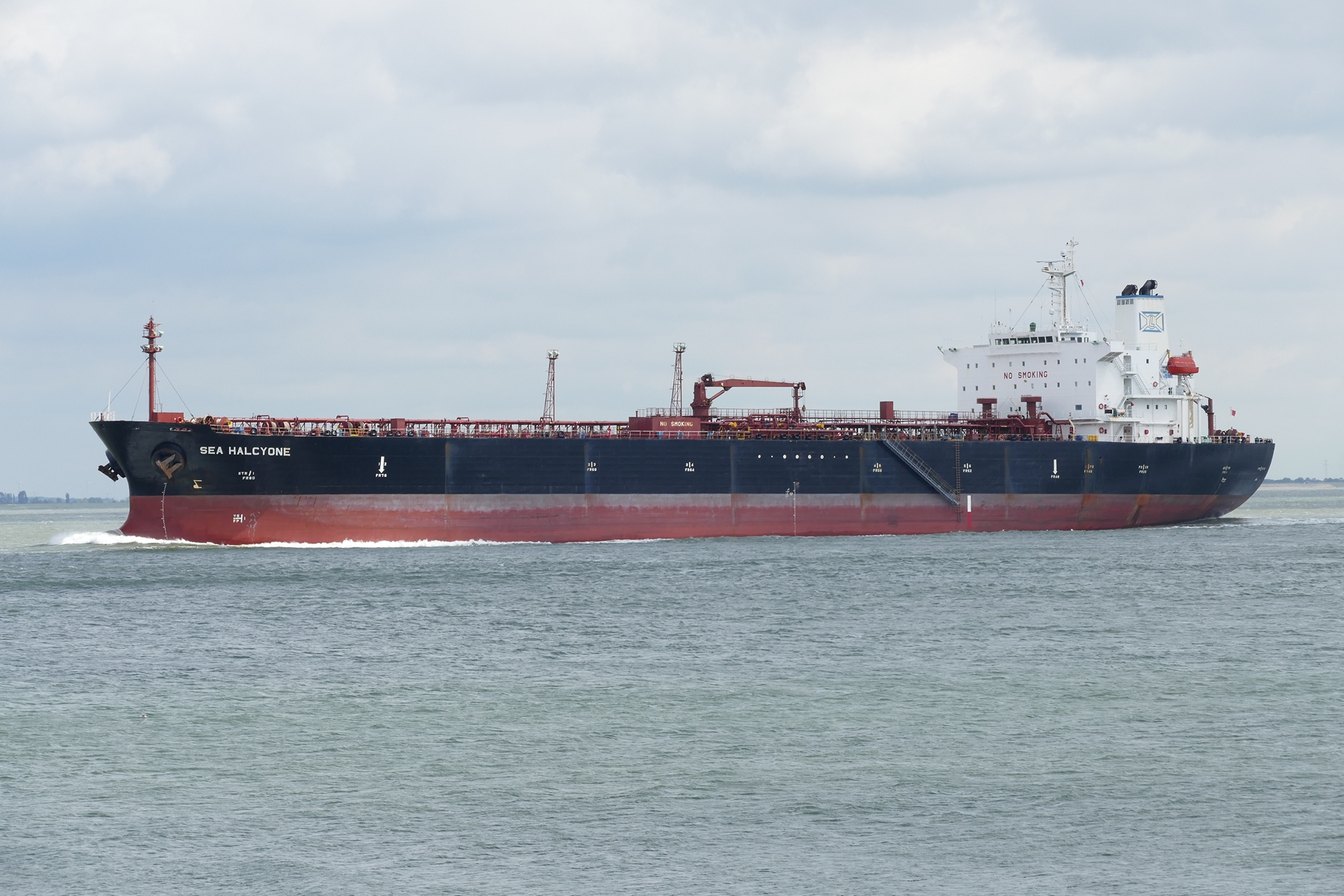 SEA HALCYONE