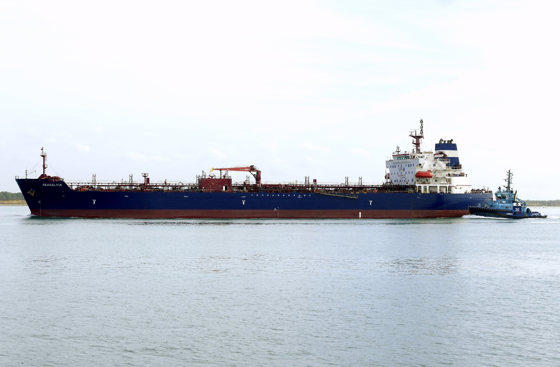 SEASALVIA