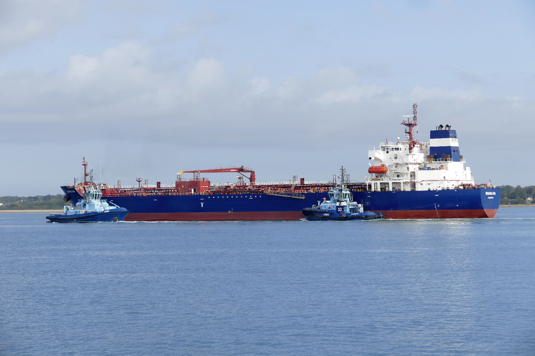 SEASALVIA