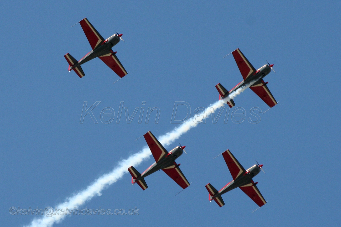 Jordanian Falcons