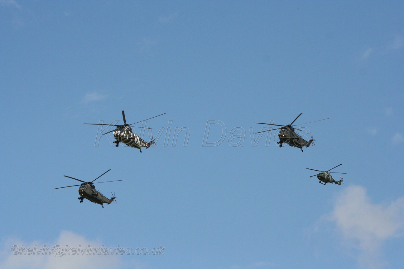 Sea Kings