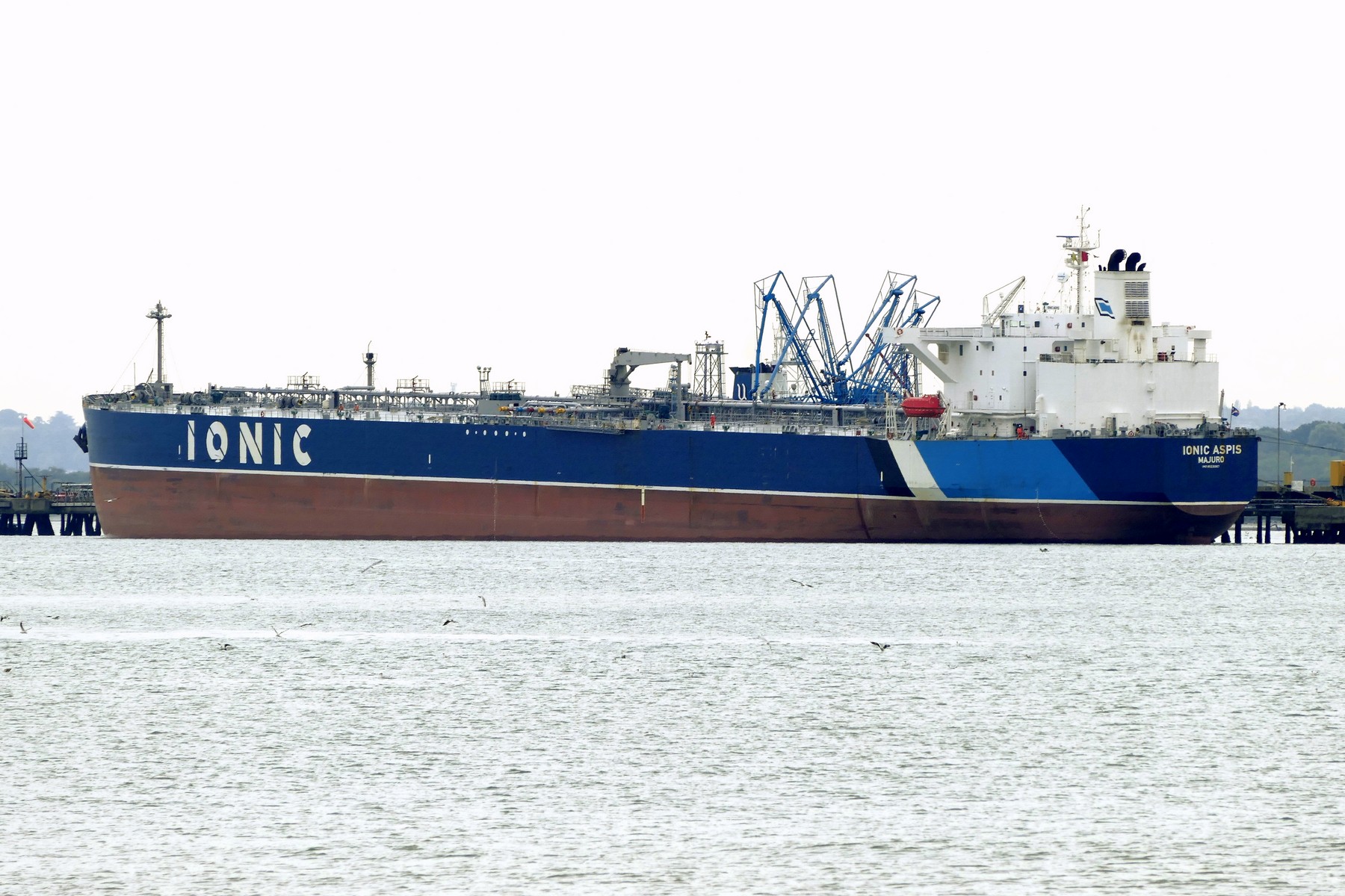 IONIC ASPIS