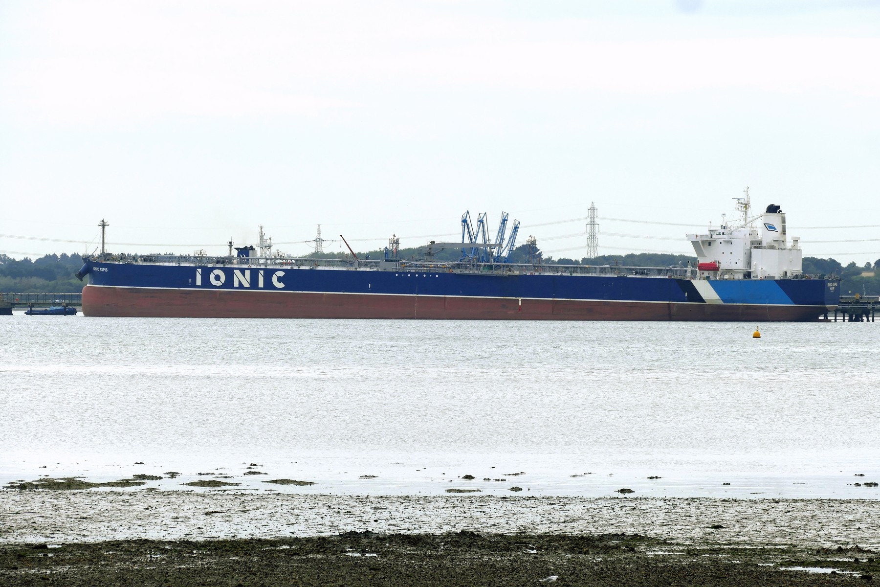 IONIC ASPIS