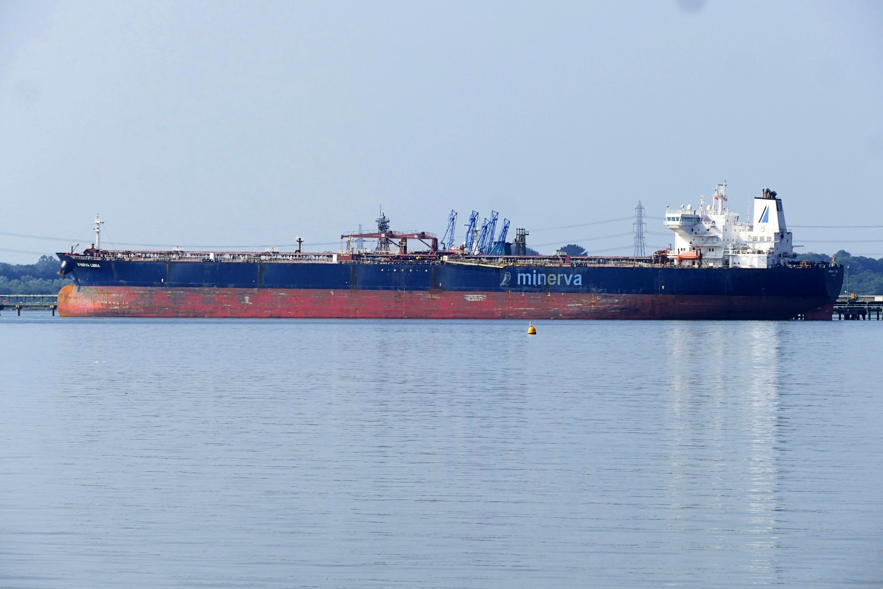 MINERVA LIBRA