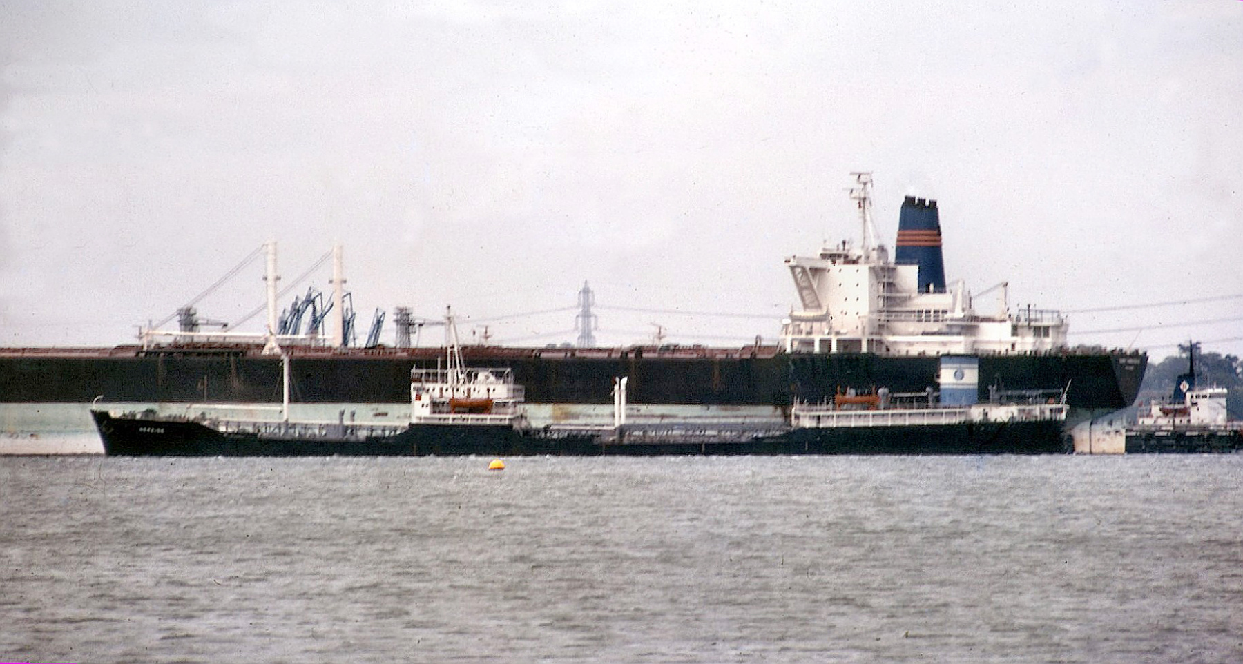 NEREIDE