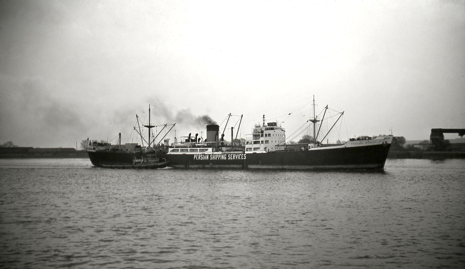 PERSIAN ROXANA