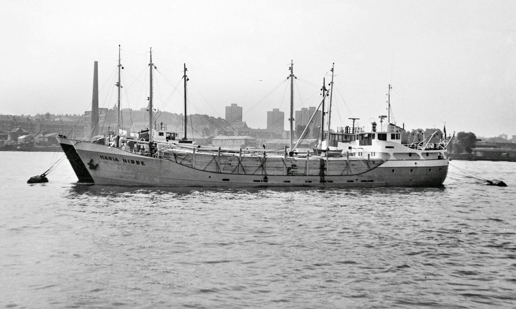 MARIA NIBBE