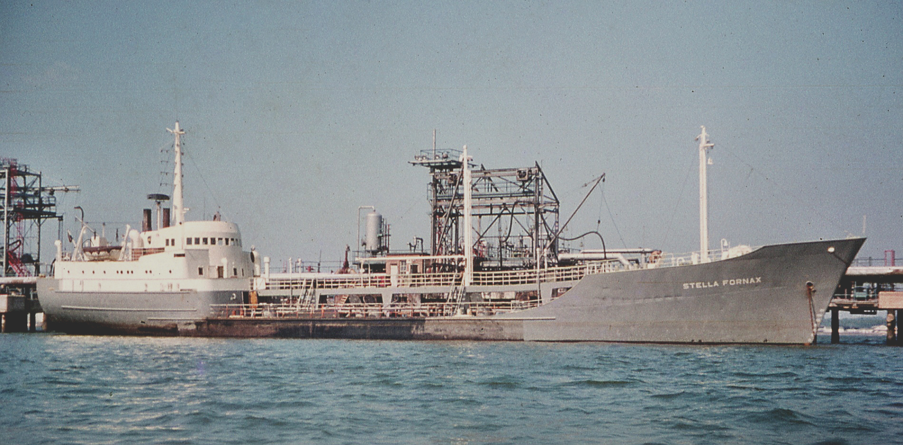 STELLA FORNAX