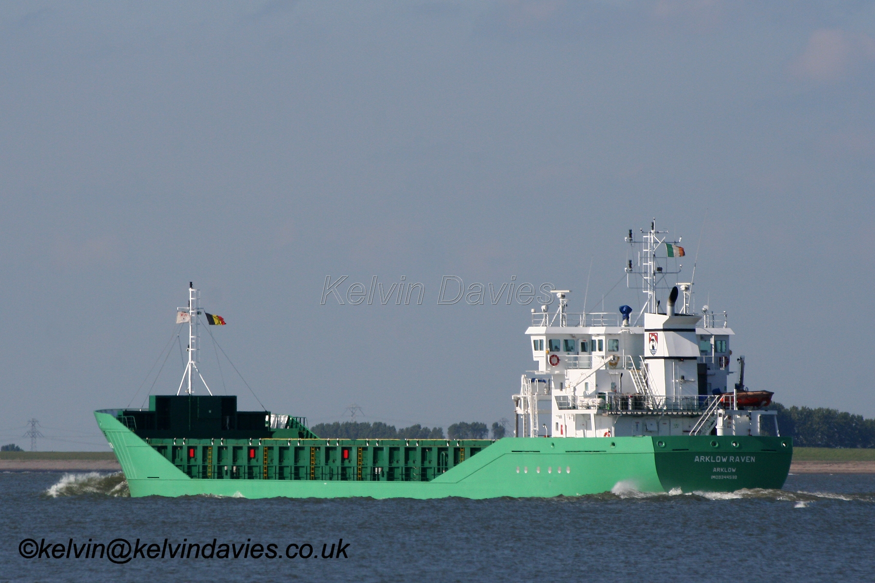 Arklow Raven