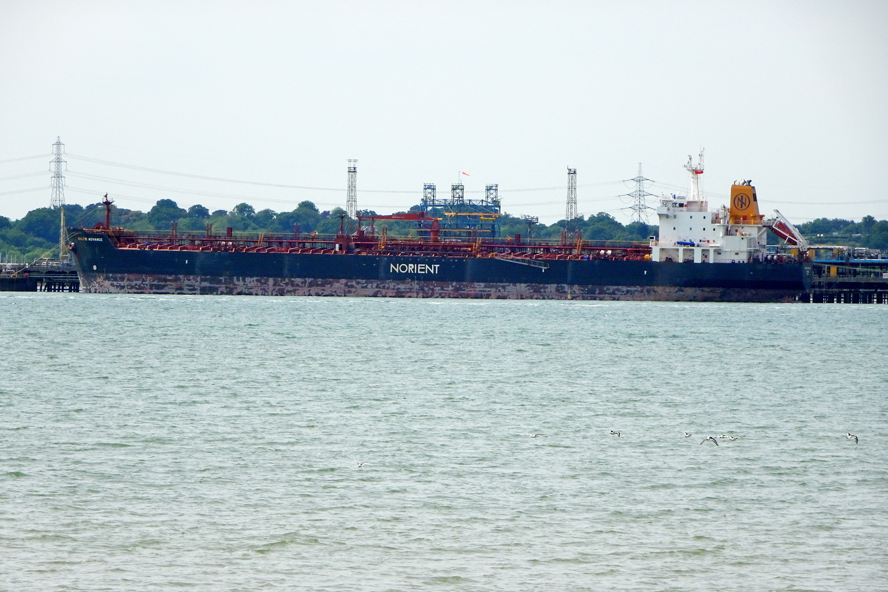 BALTIC ADVANCE