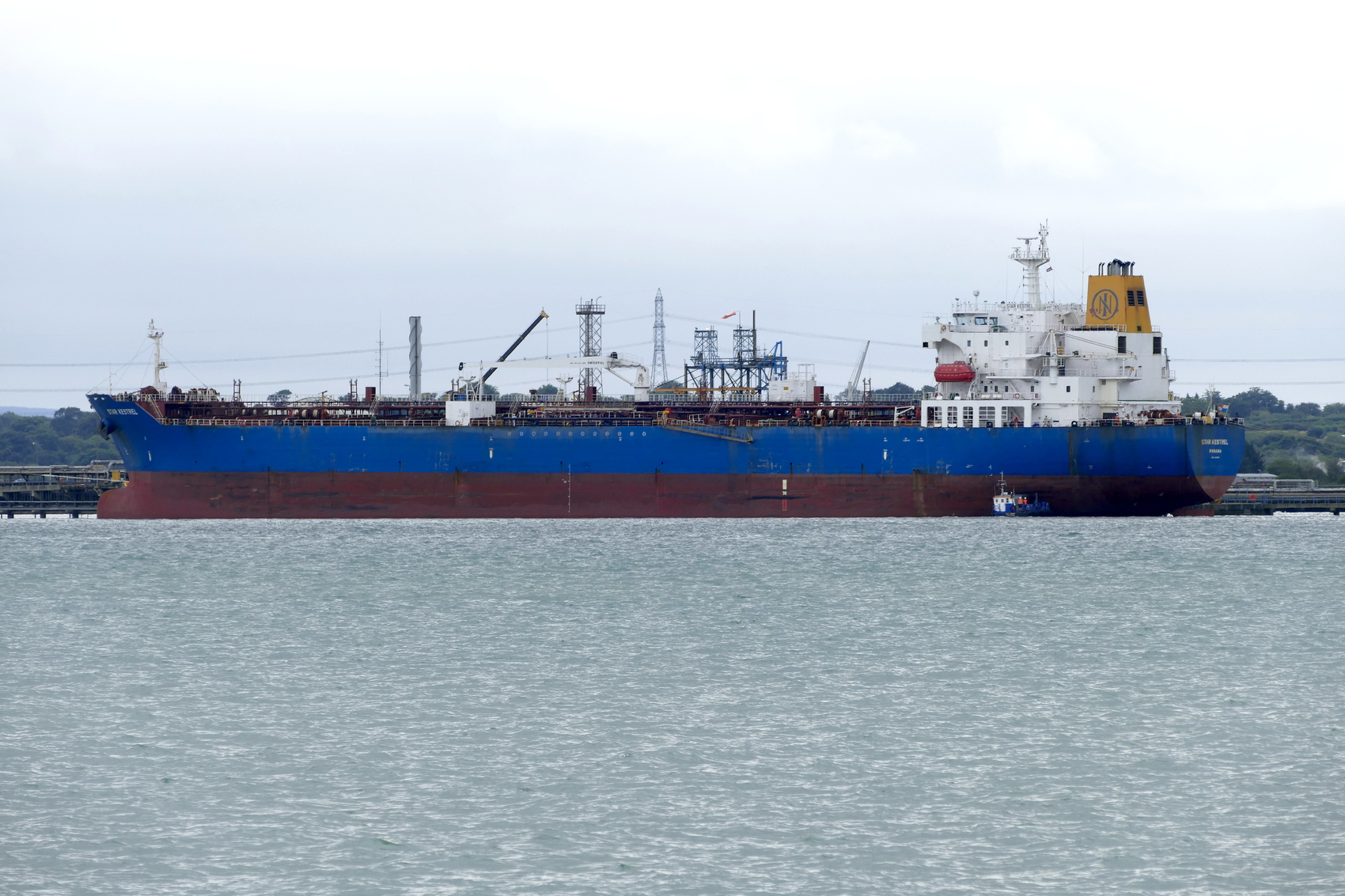 STAR KESTREL