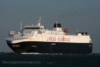 Suar Vigo