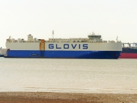 GLOVIS CONDOR