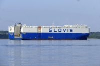 GLOVIS SAFETY