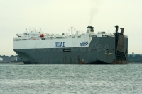Hual Triumph