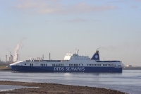 Primula Seaways