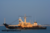 SD Salmaid