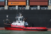 Smit Elbe