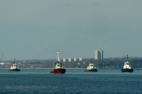 Tugs at Calshot