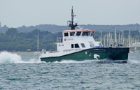 RIX TIGER