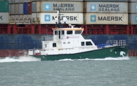 RIX TIGER