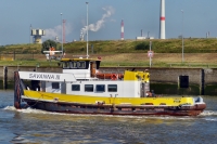SAVANNA III