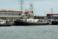 TUG 31