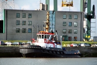 UNION GRIZZLY