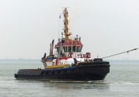 UNION GRIZZLY