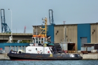UNION JADE