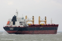 JPO Dorado