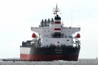 Pollux