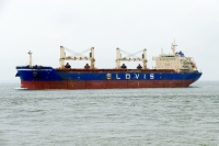 GLOVIS MAESTRO
