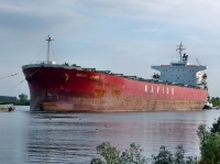 NAVIOS ALEGRIA