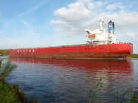 NAVIOS ALEGRIA
