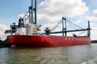 NAVIOS ESPERANZA