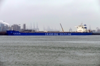 SHANDONG DING SHEN