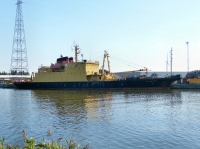 SD NEWTON