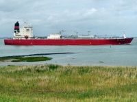 GAS GROUPER
