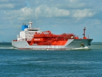 STELLA KOSAN