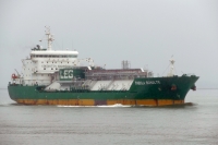 THEKLA SCHULTE