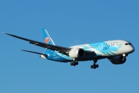 China Southern 787 B-2733
